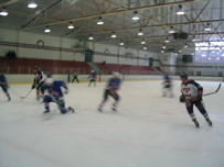 WSC Action 1